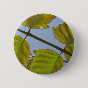 Badge Rond 5 Cm Bouton Feuille ressort