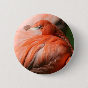 Badge Rond 5 Cm Bouton Flamant rose
