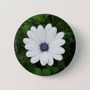 Badge Rond 5 Cm Bouton Fleur blanche