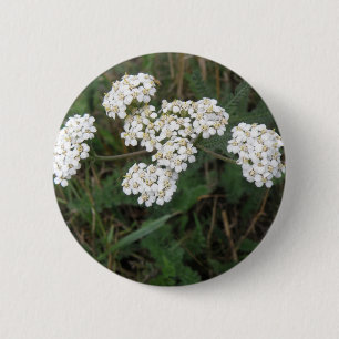 Badge Rond 5 Cm Bouton Fleur sauvage blanc