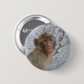 Badge Rond 5 Cm Bouton Gibraltar Monkey (Devant & derrière)