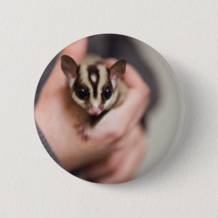 Badge Rond 5 Cm Bouton Glider de sucre
