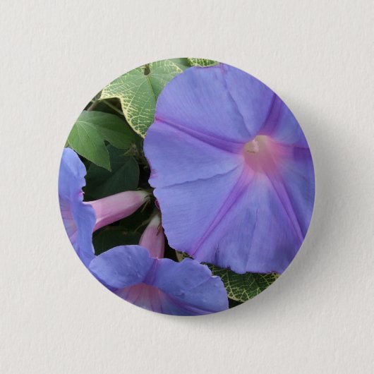 Badge Rond 5 Cm Bouton Glories du matin (Devant)