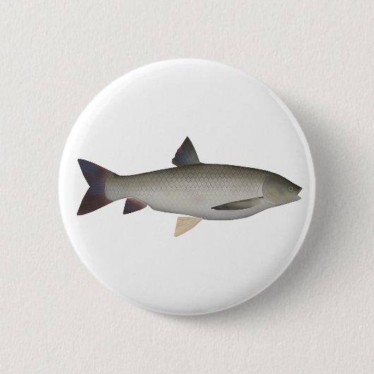 Badge Rond 5 Cm Bouton Grass Carp (Devant)
