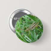Badge Rond 5 Cm Bouton Grasshopper (Devant & derrière)