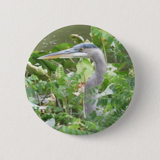 Badge Rond 5 Cm Bouton Great Blue Heron (Devant)