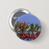 Badge Rond 5 Cm Bouton Grevillea (Devant & derrière)