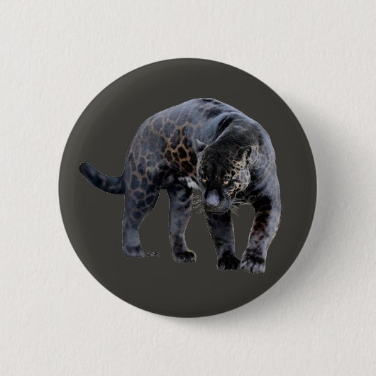 Badge Rond 5 Cm Bouton gris Jaguar Diablo (Devant)