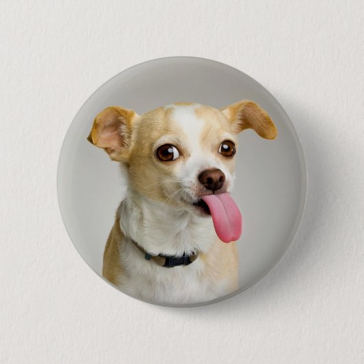 Badge Rond 5 Cm Bouton grossier de chiwawa (Devant)