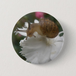 Badge Rond 5 Cm Bouton Grotte et oeillet blanc