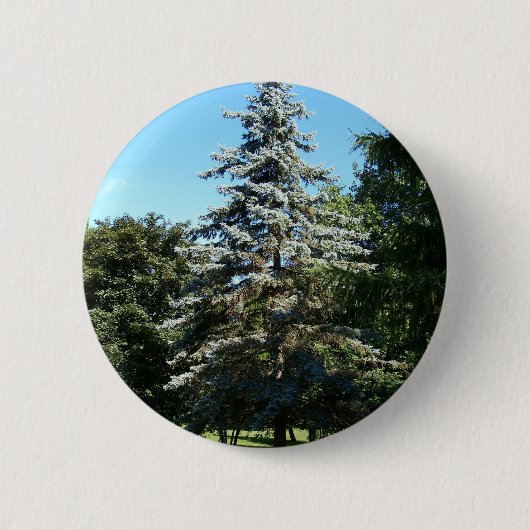 Badge Rond 5 Cm Bouton impeccable bleu (Devant)