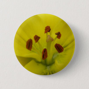 Badge Rond 5 Cm Bouton jaune Lily Floral