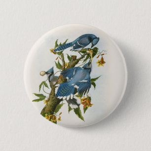 Badge Rond 5 Cm Bouton Jay Bleu
