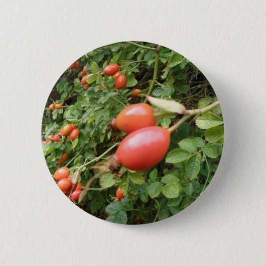 Badge Rond 5 Cm Bouton Juicy Red Rose Hips (Devant)