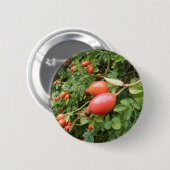Badge Rond 5 Cm Bouton Juicy Red Rose Hips (Devant & derrière)