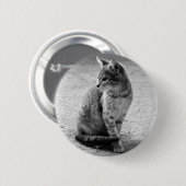 Badge Rond 5 Cm Bouton Kitten (Devant & derrière)