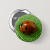 Badge Rond 5 Cm Bouton Ladybug (Devant & derrière)