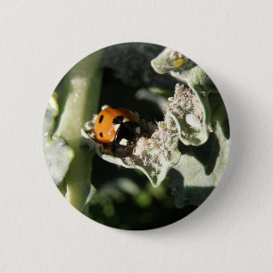 Badge Rond 5 Cm Bouton Ladybug à 7 emplacements britannique