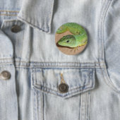 Badge Rond 5 Cm Bouton Lizard (En situation)