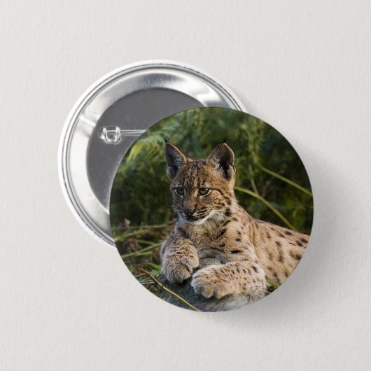 Badge Rond 5 Cm Bouton - lynx (Devant & derrière)