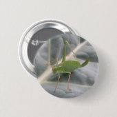 Badge Rond 5 Cm Bouton macro cricket vert (Devant & derrière)