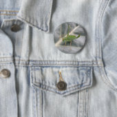 Badge Rond 5 Cm Bouton macro cricket vert (En situation)