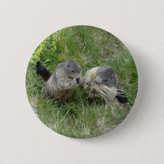 Badge Rond 5 Cm Bouton Marmot (Devant)