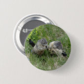 Badge Rond 5 Cm Bouton Marmot (Devant & derrière)