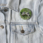 Badge Rond 5 Cm Bouton Marmot (En situation)