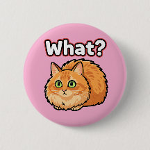 Bouton Mème Chat Roux Choqué Drôle Quoi?