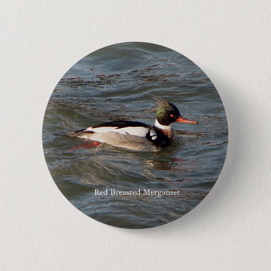 Badge Rond 5 Cm Bouton Merganser à poitrine rouge (Devant)