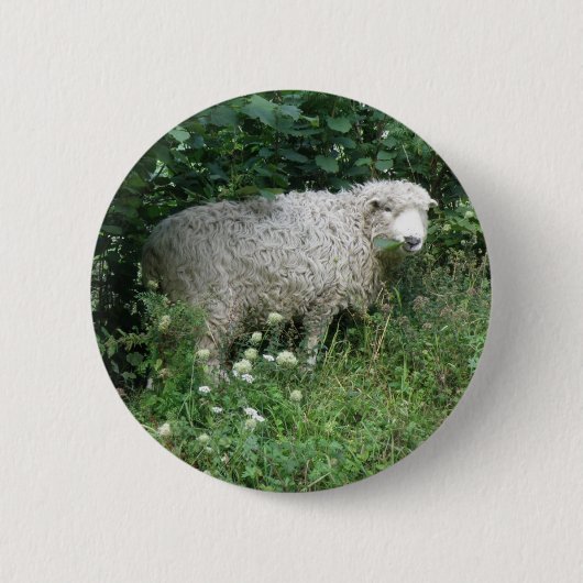Badge Rond 5 Cm Bouton mignon blanc à pâte molle (Devant)