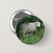 Badge Rond 5 Cm Bouton mignon blanc à pâte molle (Devant & derrière)