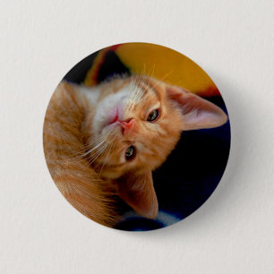 Badge Rond 5 Cm Bouton mignon de chaton