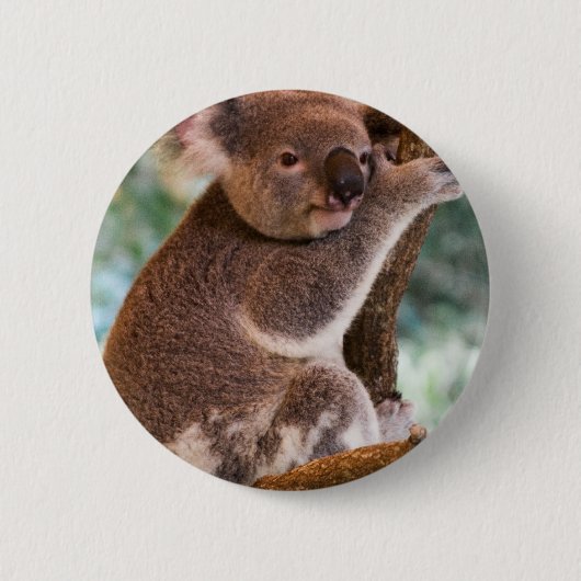 Badge Rond 5 Cm Bouton mignon de koala (Devant)
