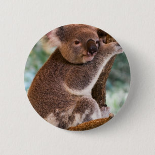 Badge Rond 5 Cm Bouton mignon de koala