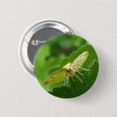 Badge Rond 5 Cm Bouton Moth Brimstone (Devant & derrière)