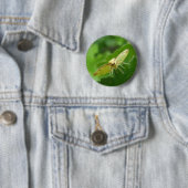 Badge Rond 5 Cm Bouton Moth Brimstone (En situation)