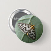 Badge Rond 5 Cm Bouton Moth de petite taille (Devant & derrière)