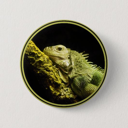 Badge Rond 5 Cm Bouton noble d'iguane (Devant)