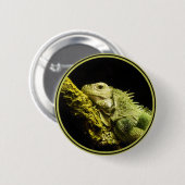 Badge Rond 5 Cm Bouton noble d'iguane (Devant & derrière)