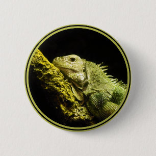 Badge Rond 5 Cm Bouton noble d'iguane