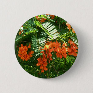Badge Rond 5 Cm Bouton OBX Scarlet Wisteria (Sesbania punicea)