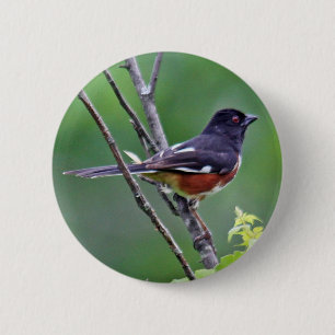 Badge Rond 5 Cm Bouton oriental de Towhee