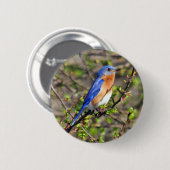 Badge Rond 5 Cm Bouton oriental d'oiseau bleu (Devant & derrière)