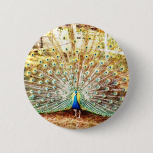 Badge Rond 5 Cm Bouton Pacock