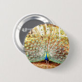 Badge Rond 5 Cm Bouton Pacock (Devant & derrière)