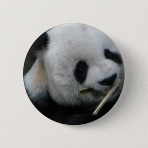 Badge Rond 5 Cm Bouton Panda Mignon – Épinglette Panda Kawaii