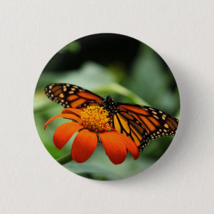 Badge Rond 5 Cm Bouton papillon Monarque