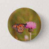 Badge Rond 5 Cm Bouton papillon Monarque (Devant)